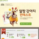 얼짱펫 네이버블로그