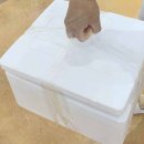 성일빌라 | 노량진수산시장 꽃게철이라면 가봐야지 내돈내산 방문