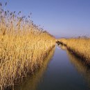 하단2동-12 이미지