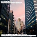 뉴넥스 네이버블로그