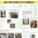 진토베기 이미지