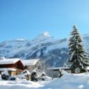 편지요~ 이미지