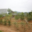 진산요양원 이미지