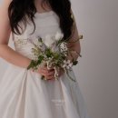 연화목