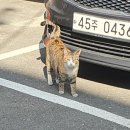 문찬한의원 이미지