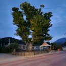 창의리 마을회관 이미지