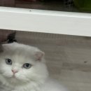 유옴헤어