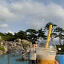 문암목장 이미지