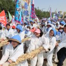 의령큰줄땡기기 이미지