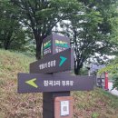 평화3리 | D822/평화의 길 19코스는 역방향 이용이 효과적/ 해설사님이 친절에 감사