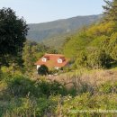 백향목숲휴양림 이미지