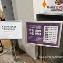 어린이 미술 | 대전 | 시립미술관 어린이미술 기획전 열한번째 트윙클 전시 무료 체험 후기, 위치, 운영시간