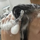 하이케어 | 두피샴푸 스칼프케어 후기 피디하이 하이옴 올커버 스칼프케어 샴푸