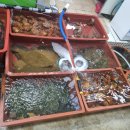 죽변시장 이미지