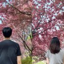 803별미칡냉면 서산점
