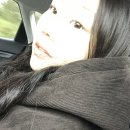 천제연로 | 2025년 12월 제주도여행 02