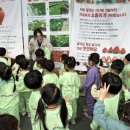 율빛유치원 이미지