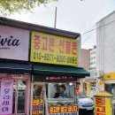 동묘시장 다녀온 후기 (완구거리,애완동물거리)