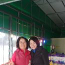팔구농산 Daum카페
