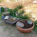 미화농장 이미지