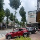 어쩌다반찬가게 | 거제도에서 줄서서 먹는 해장국 전설의 가게 파평옥 거제 본점에 다녀온 후기