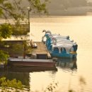 호수창이예쁜가 이미지