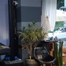 댕이골 전통음식거리 이미지