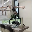 포레블랑 이미지