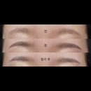 일로브로우 | [후기] 홍대 자라다브로우 눈썹문신 후기