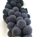 정량동사무소 이미지