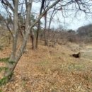 신1리 마을회관 이미지