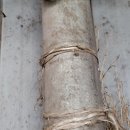 장성목장 이미지