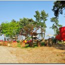 시인의섬 이미지