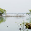 글을 못 읽어 쫒겨난 아들 (A son who was kicked out because he couldn’t read. 김안국전)야담 이미지