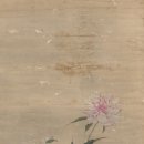 보태니컬 이미지