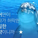 커피악마 이미지