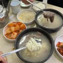 강남대로101안길 42 | [방문 후기] 영동 설렁탕/신사 설렁탕/또또또간집/사계절 맛집/아는사람들만 아는 찐 맛집