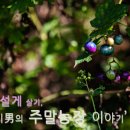 리언농장 이미지