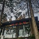 아찌네 | 일상모음zip _ 2월