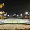 지도인라인경기장 이미지