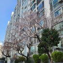 민주공원 중극장 | 티켓 알바 후기 + 3월 일상 :)