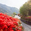 섬진주유소 이미지