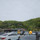 한반도 | [관광] 강원도 영월군 한반도지형, 섶다리 마을 방문 후기 🩵