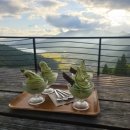 초록세상 | 가족과 함께한 보성 녹차밭 &amp; 카페 ‘초록잎이 펼쳐지는 세상’ 후기 비 소식이 있었지만, 하늘이 선물...