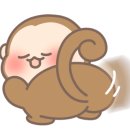 메종드시고르 이미지