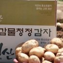 감물농장 이미지