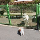 투썸플레이스대전만인산점