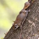 하늘메디칼 이미지