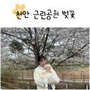 상동천 이미지