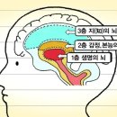 행복숲유치원